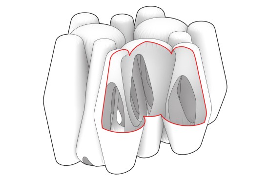 Cutaway view into Grove