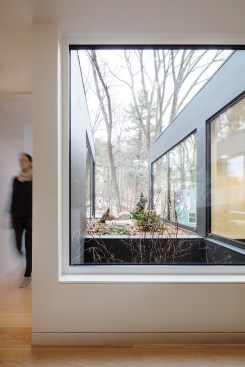 View past courtyard to green roof beyond