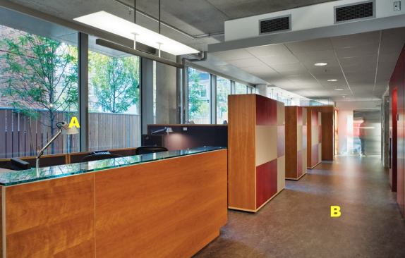 A  Tolomeo task lights Artemide 
www.artemide.us Adjustable, articulated arm with tension cables  • Diffuser is stamped, anodized matte aluminum and rotates 360 degrees  • Available in white or black finishes and with incandescent or fluorescent sources  • Base, clamp, and inset pivot-mount options 
B  Marmoleum Real Forbo 
www.forbo.com Available in 29 colors  • Marbling effect in three styles: Real Authentic, Real Bold, and Real Classic  • Multicolored and solid welding rods are also available for all styles  • Forbo Topshield requires no primer and prevents scuffing and marks  • Permanently antistatic  • Permanently bacteriostatic  • Repairable