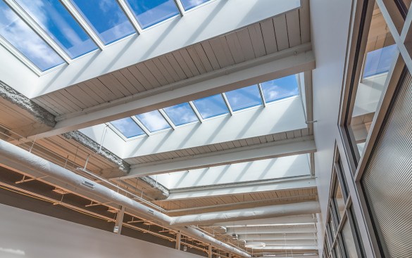 Skylights line the building’s central corridor and light spills through storefront windows of interior offices.