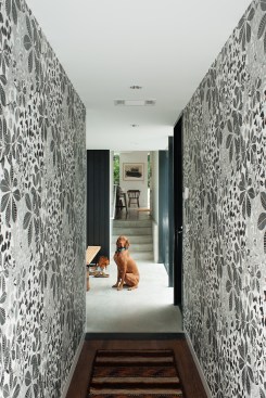 Looking from the 1927 bungalow to the new addition through the light-filled bridge that connects old and new.