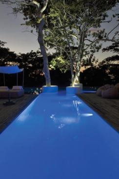 The lighting transforms the pool water and surrounding foliage into sculptural objects.