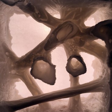 Hydro Wax Formwork: detail of vascular module made of cast paraffin wax