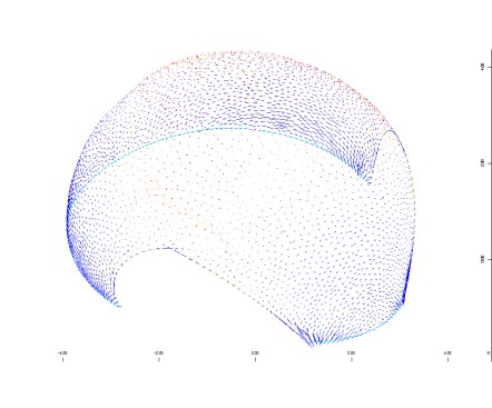 The principal stress directions of the composite shell.