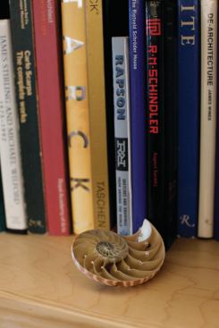 The partners say that the centralization of the firm’s design work at its headquarters has helped it to weather its own growth. The managers and directors who work at Jerde’s further-flung offices start in Los Angeles.