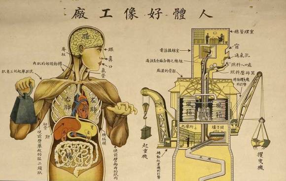 Chinese public health poster depicting the human body as a factory, 1933, from "Are We Human?, 3rd Istanbul Design Biennial."