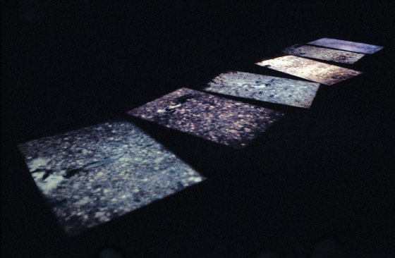 “Migration,” Super 8 film loop (1975)The film documents the spawning of Pacific Northwest salmon and explores the phenomena of light and transparency through the spatial compression of the sky and its reflection on the water’s surface.