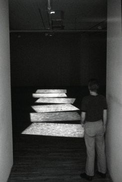 “Migration,” Super 8 film loop (1975)The film on view in a gallery installation.