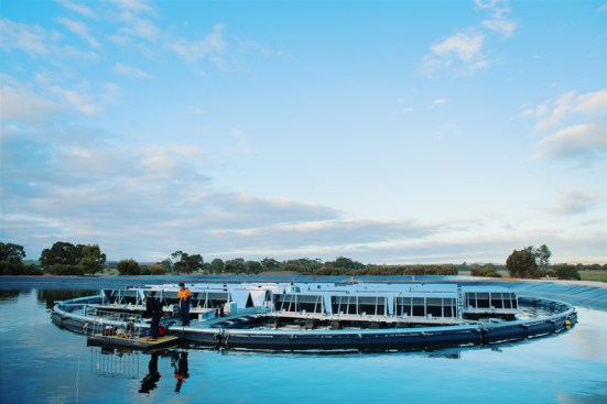 Jamestown floating solar system via Infratech Industries
