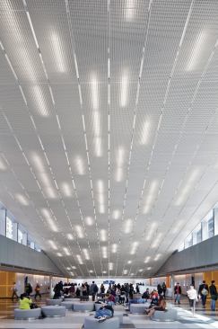 SBLD developed a lighting scheme that capitalizes on ample daylight while deploying electric lighting and luminaires that are easy to maintain.