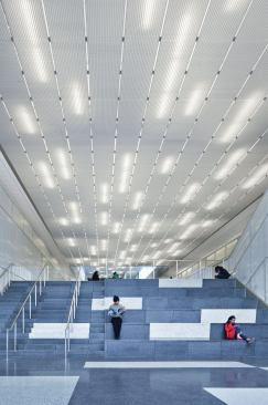 A random pattern of T5 fluorescent strip fixtures in varying lengths provide a whimsical yet practical amount of light.