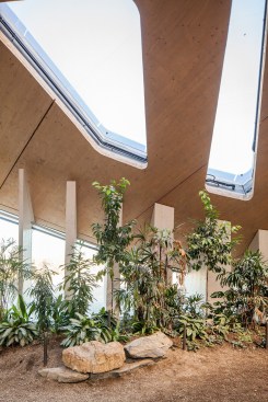 Wood-clad concrete slab walls at the low points of the roof support the shell.