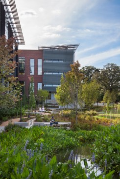 The Georgia Tech Krone Engineered Biosystems Building by Lake|Flato Architects with Cooper Carry as architect of record.