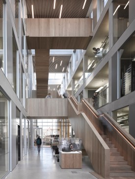 The entrance atrium features polished concrete floors from Steyson Granolithic Contractors. A wood-lined staircase rises toward the ceiling four stories up, which is clad in solid oak battens with a black felt backing and insulation.