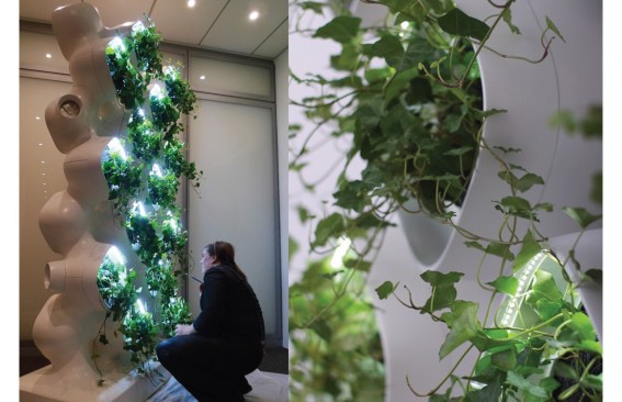 Pure Inhale, Connecticut, plant-based design module research by Phoebe Mankiewicz