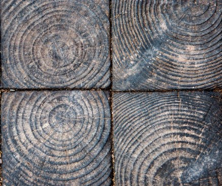 Look! Look! Look Installation at Berrington Hall NT