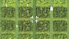 Prairie Plots in Houston (2022), by Dept.