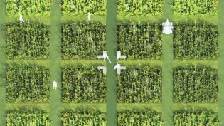Prairie Plots in Houston (2022), by Dept.