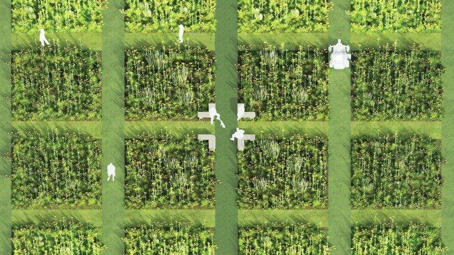 Prairie Plots in Houston (2022), by Dept.