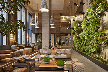 1 Hotel Brooklyn Bridge