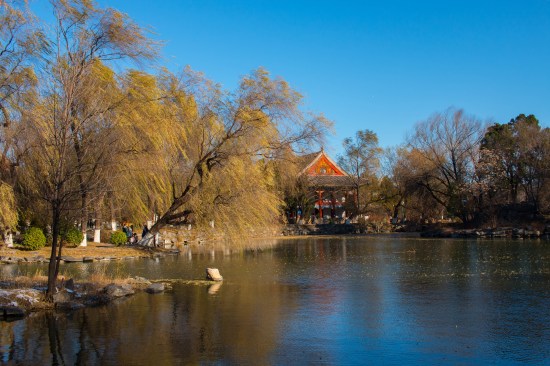 Peking University