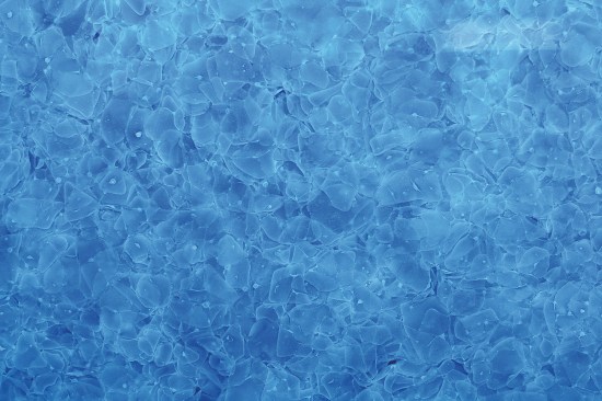 Magna in Ocean Blue, by Walker Zanger