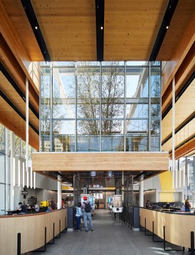 Birch trees on the roof rise above digital kiosks that customers use to order