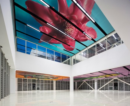 Michal Batory's illustrations decorate the ceilings