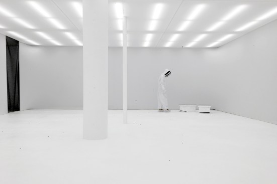 Honeybee hive installation in the Synthetic Apiary environment