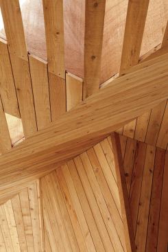 Canopy detail.