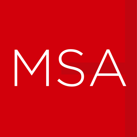 Mojo Stumer Associates