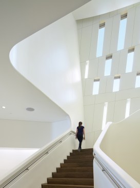 Stair leading from lower-level galleries to main lobby