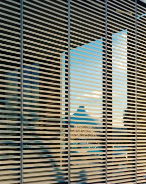 Clad entirely in glass, James Carpenter Design Associates’ new pavilions for the Israel Musuem are set within an envelope of custom-designed terra-cotta louvers that allow for the interiors to be lit naturally, with minimum direct sunlight and heat gain.