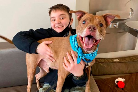 Recently adopted Nitro pals around with DCSPCA animal caregiver Gab.