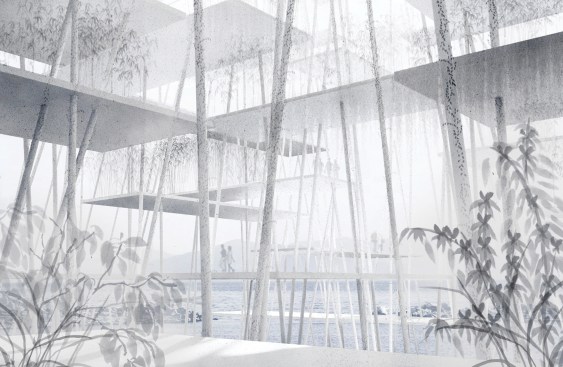 Cloud Forest