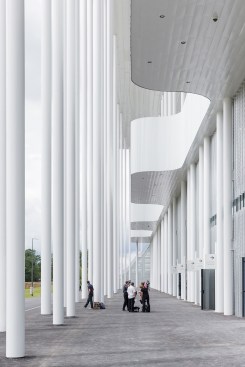 The Nouveau Stade de Bordeaux has 1,000 metal columns that support its inverted stepped roof. Herzog & de Meuron, inspired by the nearby treescape, arranged the columns so that they do not conform to a standard grid. At-grade entrances to offices and event spaces in the stadium’s base flank the north and south (shown) façades.