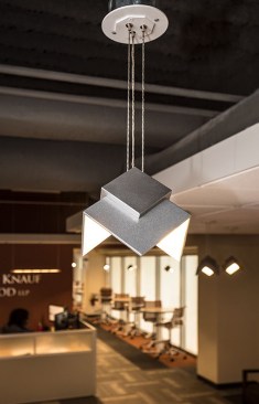 Visa Lighting Petal pendant