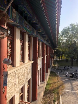 Peking University