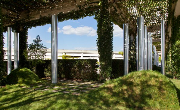 Anything can happen in the woods