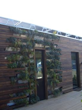 Continuing the connection to nature, the rear of the home also includes a living wall.