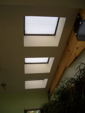 Skylights bring daylight—and food for the Life Well walls—to the kitchen and bathroom. The ceiling beams were made with local FSC-certified wood.