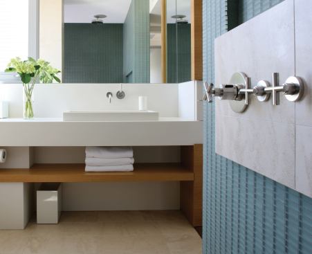 The guest bath wraps a related set of forms in a brighter palette of materials.