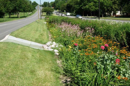 Raingardens slow stormwater as it travels downhill, giving it more time to infiltrate the soil.