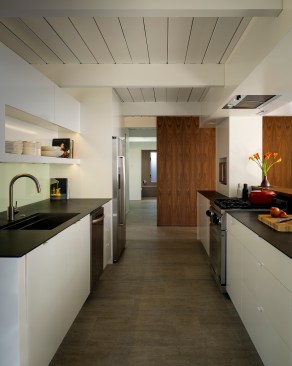 The new kitchen, with walnut-veneer accent wall in rear.