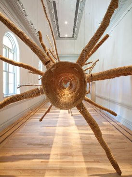 John Grade’s Middle Fork (Cascades) (2015), part of the Renwick Gallery’s “Wonder” exhibit, was formed using the case of a 150-year-old hemlock tree to commemorate the gallery’s reopening.