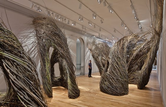 Patrick Dougherty’s Shindig (2015), part of the Renwick Gallery’s “Wonder” exhibit, is a series of structures made from woven willow saplings. The tracklighting in the gallery aims to mimic sunlight.