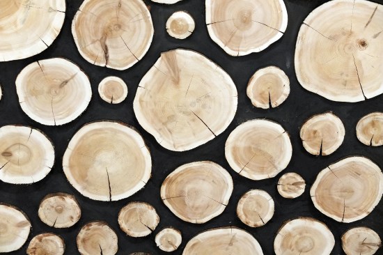 Cordwood masonry detail from an Arcus Center mock-up