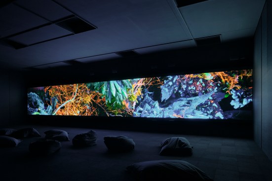 Richard Mosse, Broken Spectre, 2018â2022. Four channel video installation with 12.2 surround sound, 74 minutes and 11 seconds. Produced in Brazil and Ecuador. Installation view, NGV