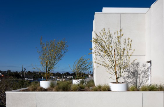 Rose Apartments. Venice, Calif. Brooks + Scarpa