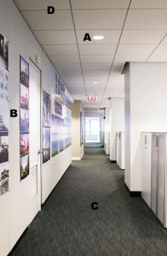 A  Calculite Matrix compact fluorescent downlights Lightolier 
www.lightolier.com Provide energy-efficient general illumination  • Take a 26-watt or 32-watt triple-tube compact fluorescent lamp  • Precision optics allow glare control from a smaller aperture  • Various trim options available  • Available as an open or lensed fixture  • Galvanized formed steel housing  • Ballast assembly is door-mounted for easy repair 
B  Eco Spec interior latex paint Benjamin Moore & Co. 
www.benjaminmoore.com Low-odor, low-VOC paint in semigloss, primer sealer, flat, and eggshell enamel  • 100 percent acrylic  • Quick drying  • Spatter resistant  • Greenguard certified for low-emitting products and for children and schools  • Tints with Benjamin Moore Color Preview colorants  • Comes in pastel base, medium base, and white colors 
C  Estuary carpet Masland Contract 
www.maslandcontract.com 24-inch-square tiles  • 100 percent Antron Legacy nylon  • Nonwoven backing with secondary PVC backing  • Complies with Carpet and Rug Institute’s Indoor Air Quality Green Label Plus Carpet Testing Program 
D  Eurostone sustainable ceiling panels Chicago Metallic Corp. 
www.chicagometallic.com Inhibits mold growth  • Made with volcanic stone and contains no organic materials  • Does not burn or emit smoke  • 40 year warranty  • Available natural or scored  • Eight pattern options  • Eight colors  • 100 percent recycled  • Zero VOCs  • Does not rot, decay, sag, or warp  • Can contribute to LEED points